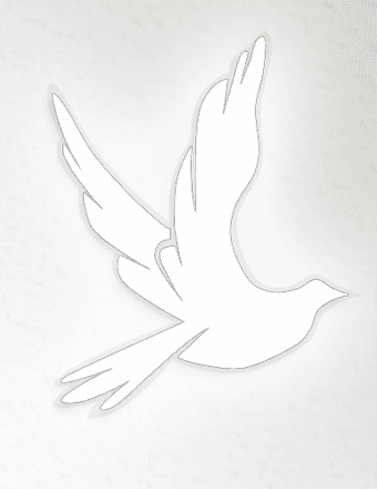 Jennifer Kathleen (Alred) Manchell Obituary